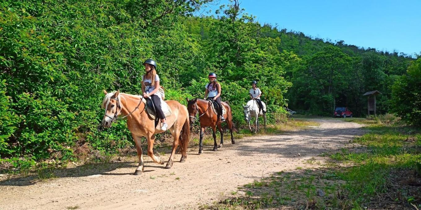 Agriturismo Poggio Al Tesoro Crespina Exteriér fotografie